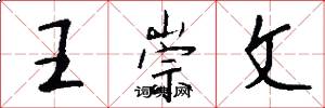 王崇文怎么写好看