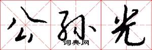 公孙光怎么写好看