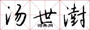 汤世澍怎么写好看