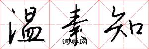 温素知怎么写好看