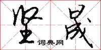 坚晟怎么写好看