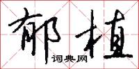 郁植怎么写好看
