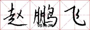 赵鹏飞怎么写好看