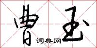 曹玉怎么写好看