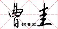 曹圭怎么写好看