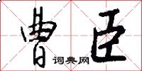 曹臣怎么写好看