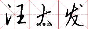 汪大发怎么写好看