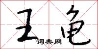 王龟怎么写好看