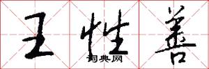 王性善怎么写好看