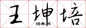 王坤培怎么写好看