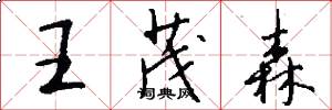 王茂森怎么写好看