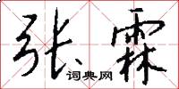 张霖怎么写好看