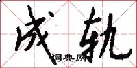 成轨怎么写好看