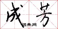成芳怎么写好看