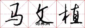 马文植怎么写好看