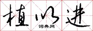 植以进怎么写好看
