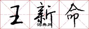 王新命怎么写好看