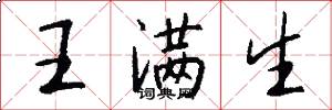 王满生怎么写好看