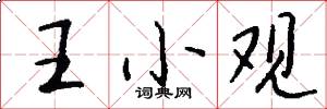 王小观怎么写好看