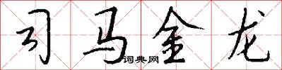 司马金龙怎么写好看