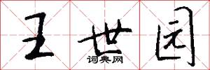 王世园怎么写好看
