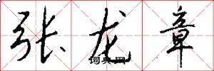 张龙章怎么写好看