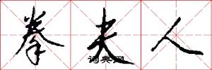 拳夫人怎么写好看