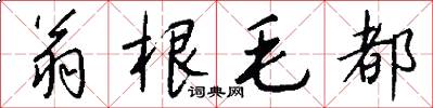 翁根毛都怎么写好看