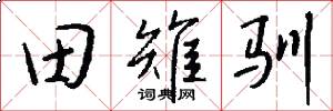 田雉驯怎么写好看