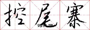 控尾寨怎么写好看
