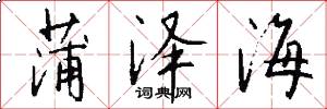 蒲泽海怎么写好看