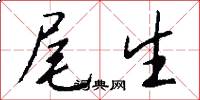 尾生怎么写好看