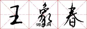 王象春怎么写好看