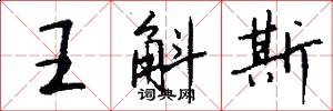 王斛斯怎么写好看