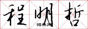 程明哲怎么写好看
