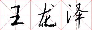 王龙泽怎么写好看