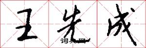 王先成怎么写好看