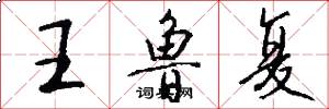 王鲁复怎么写好看