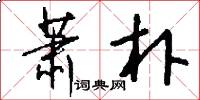 萧朴怎么写好看