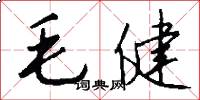 毛健怎么写好看