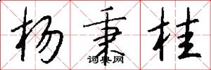 杨秉桂怎么写好看