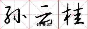 孙云桂怎么写好看