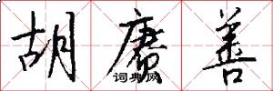 胡赓善怎么写好看