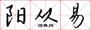 阳从易怎么写好看