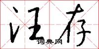 汪存怎么写好看