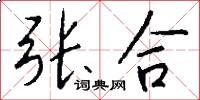 张合怎么写好看