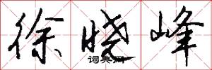 徐晓峰怎么写好看