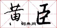 黄臣怎么写好看