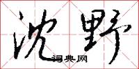 沈野怎么写好看
