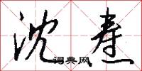 沈焘怎么写好看